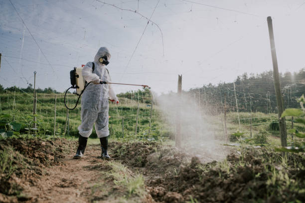 Best Mosquito Control Services  in Shrub Oak, NY