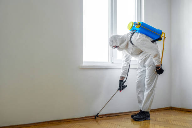 Professional Pest Control in Shrub Oak, NY