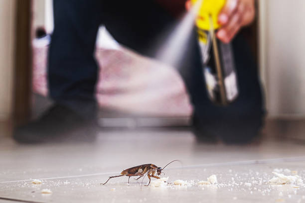 Flea Control Services in Shrub Oak, NY