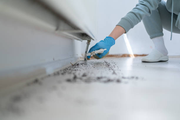 Best Affordable Pest Control Services  in Shrub Oak, NY